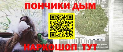 сатива Бийск